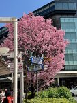 IMG_6048