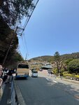 IMG_6254