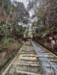 IMG_6257