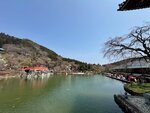 IMG_6294