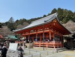 IMG_6375