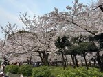IMG_6812