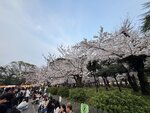 IMG_6813