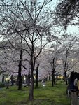 IMG_6834