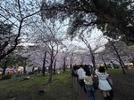 IMG_6835