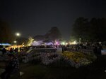 IMG_6865