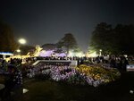 IMG_6866