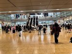 IMG_6905