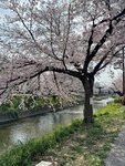 IMG_6926