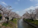 IMG_6933