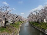 IMG_6934