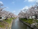 IMG_6936