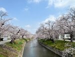 IMG_6937