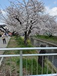 IMG_6999