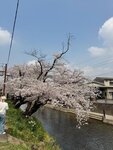 IMG_7068
