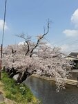 IMG_7069