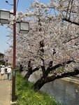 IMG_7070