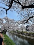 IMG_7071