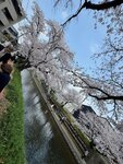 IMG_7072