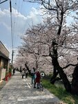 IMG_7189