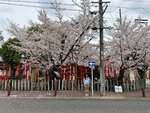 IMG_7238
