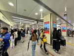IMG_7393