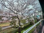 IMG_7452