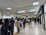 IMG_7491