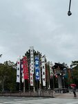 IMG_7502
