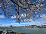 IMG_7738
