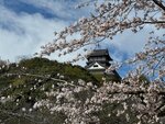 IMG_7750