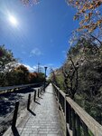 IMG_7754