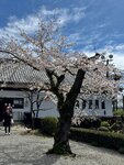 IMG_7818