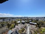 IMG_7861