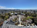 IMG_7862