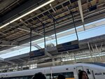 IMG_8072