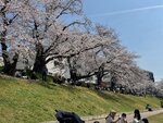 IMG_8327