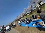IMG_8328