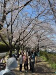IMG_8361