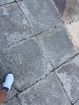 IMG_8496