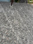 IMG_8620