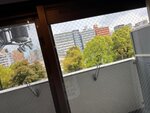 IMG_8846
