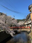 IMG_9362