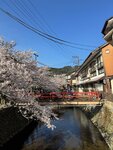 IMG_9366