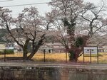 IMG_9803