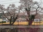 IMG_9804