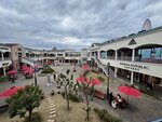IMG_9837