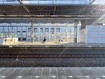 IMG_9894