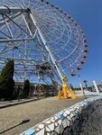 IMG_9908