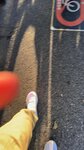 IMG_4461